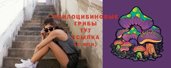 круглые Новодвинск