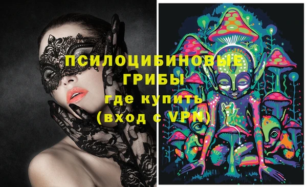 круглые Новодвинск