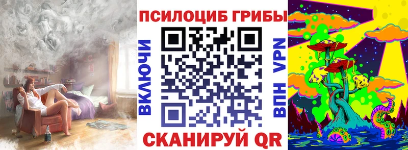 Псилоцибиновые грибы прущие грибы Кущёвская