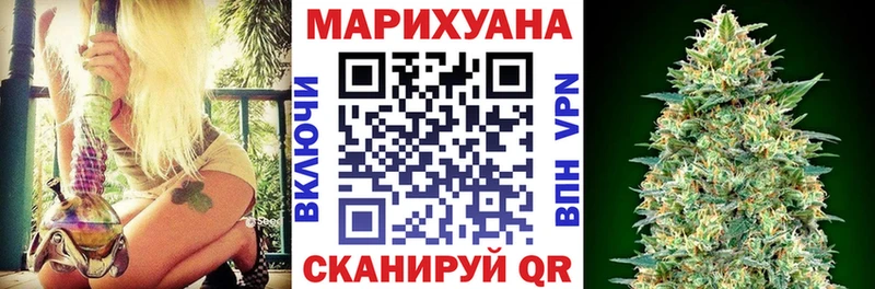 Каннабис SATIVA & INDICA Кущёвская